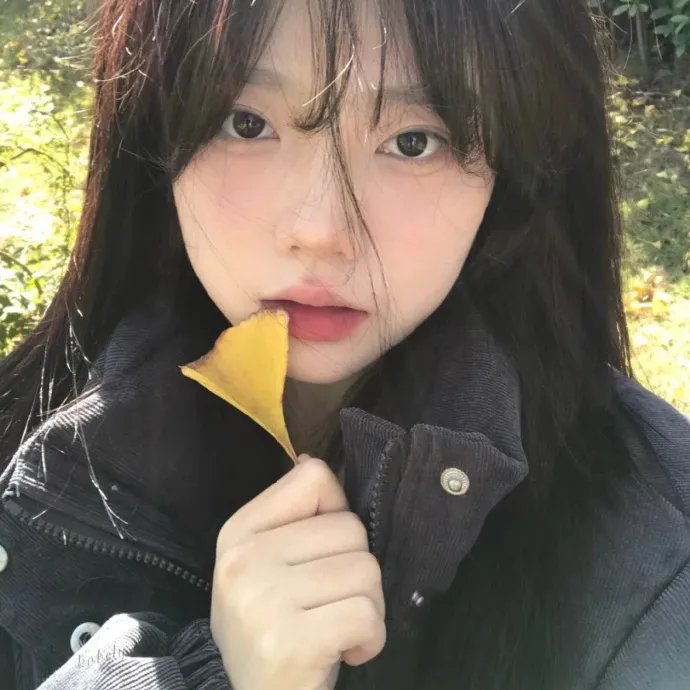 过年回家之陷落无人区