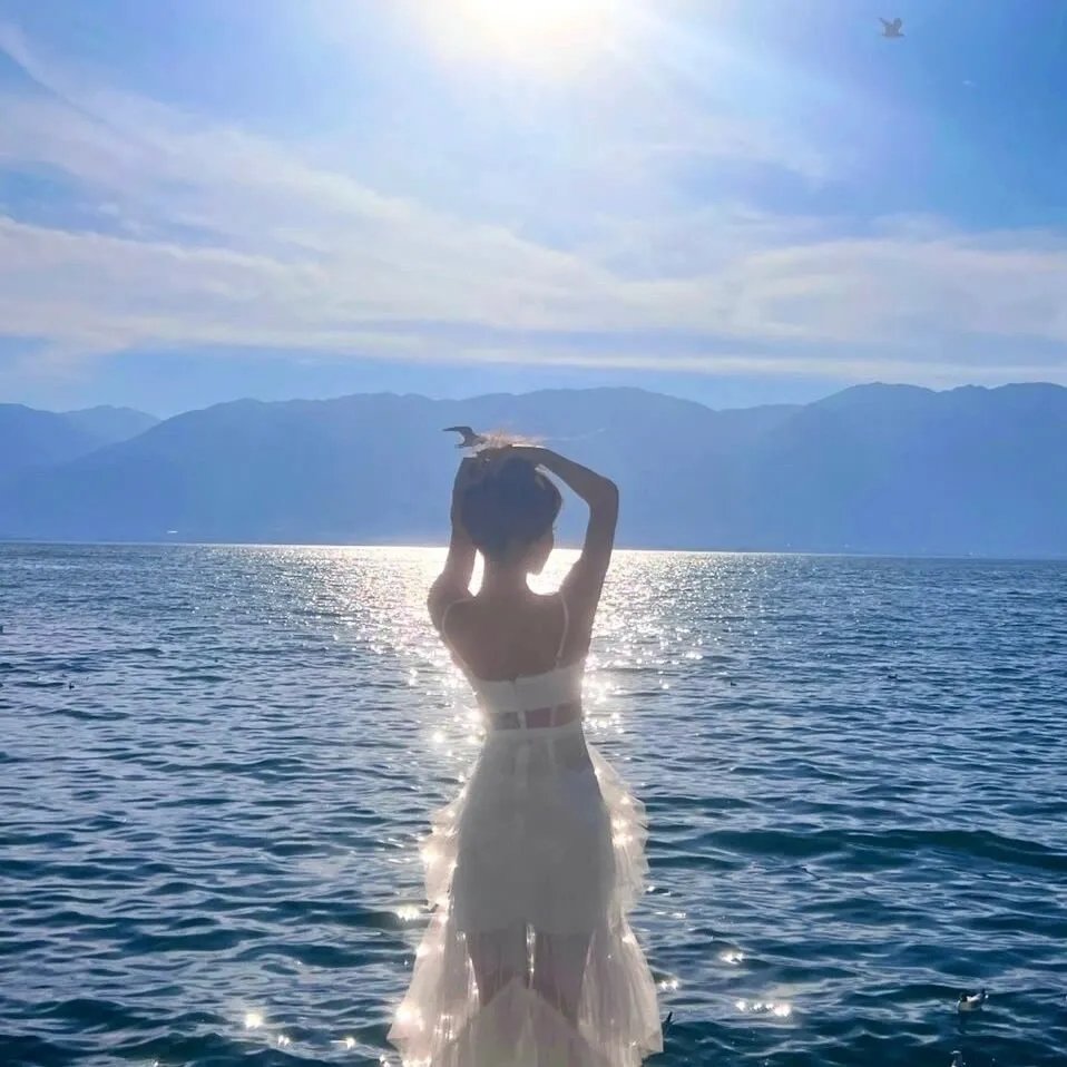 初入职场·机长季